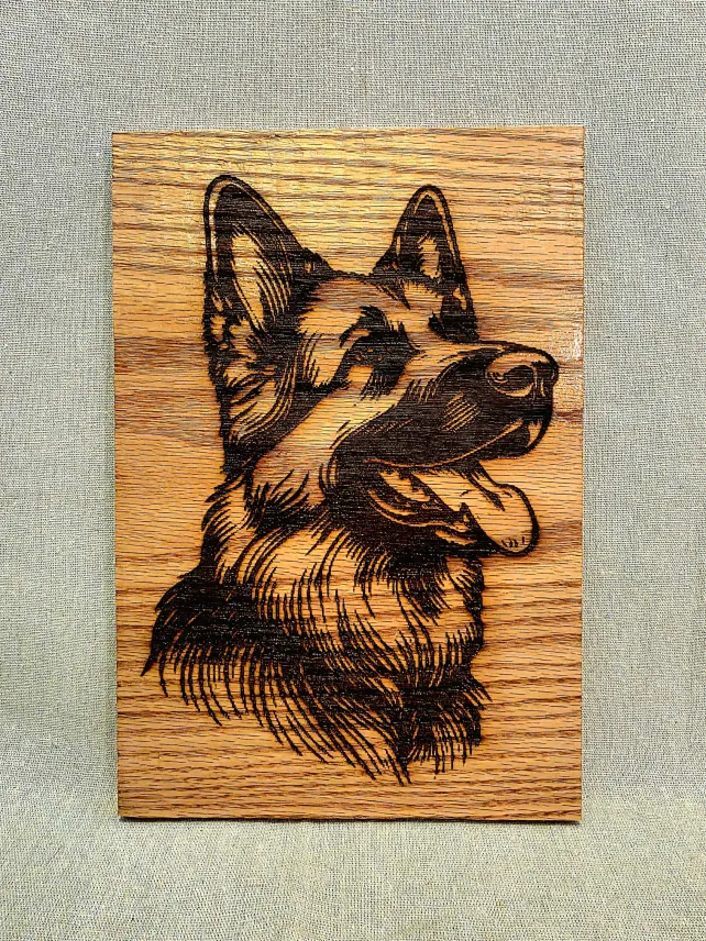 German Shepherd